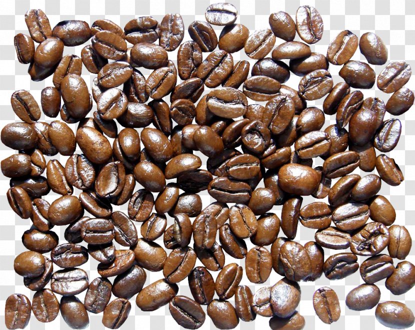 Jamaican Blue Mountain Coffee Bean Starbucks - Commodity - Beans Transparent PNG