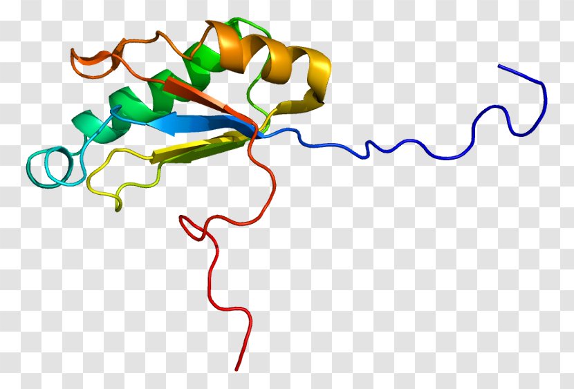 Wikipedia HIV Tat HTATSF1 Gene Clip Art - Artwork Transparent PNG