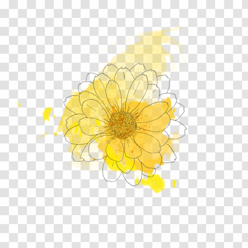 Chrysanthemum Floral Design Transvaal Daisy Desktop Wallpaper - Flora Transparent PNG