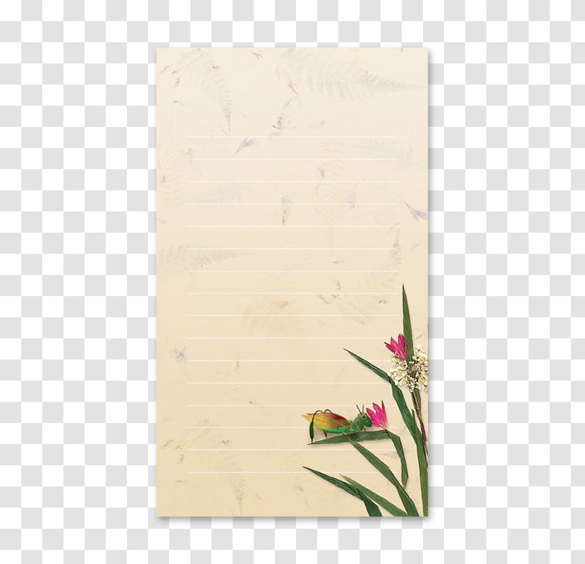 Picture Frames Rectangle Image - Flower - Creative Gardening Transparent PNG