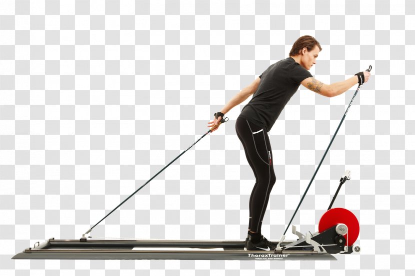 Cross-country Skiing Exercise Sport Nordic - Training Transparent PNG