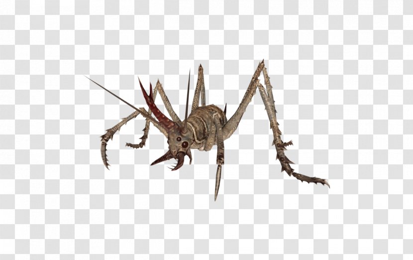 Fallout 4: Nuka-World Fallout: New Vegas Insect 3 Cave Crickets - 4 Transparent PNG