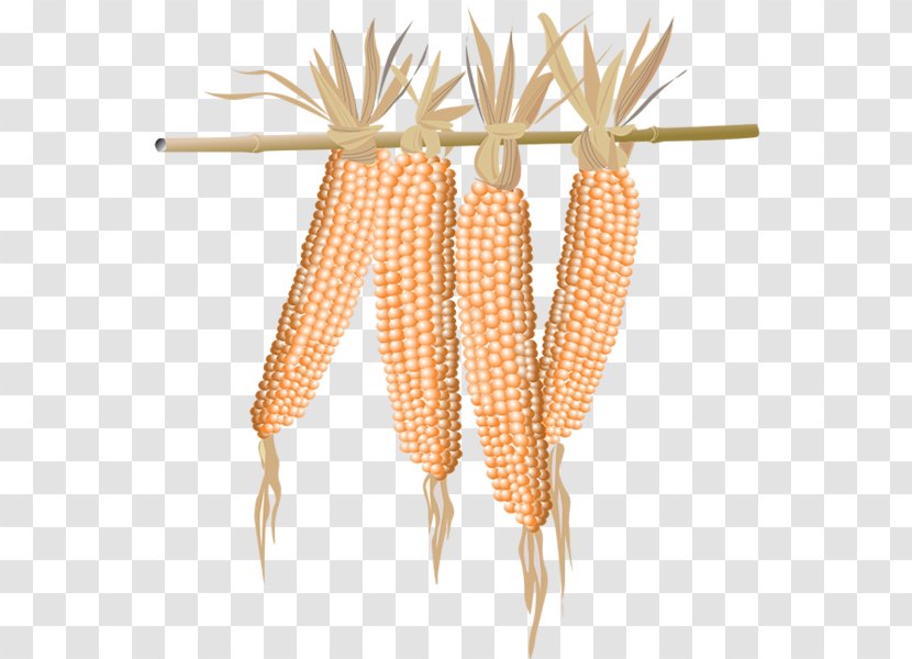 Maize Corn On The Cob Food Sweet - Popcorn Transparent PNG