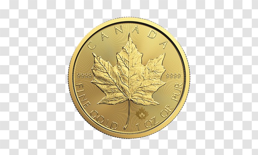 Canadian Gold Maple Leaf Royal Mint Bullion Coin - A Dog With Ingot Transparent PNG