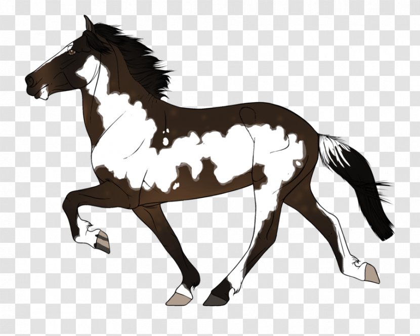Mustang Stallion Foal Pony Colt Transparent PNG