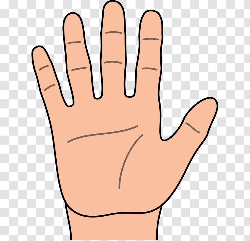 Thumb Vector Graphics Hand Cartoon Character - Animation - Finger Human Body Transparent PNG