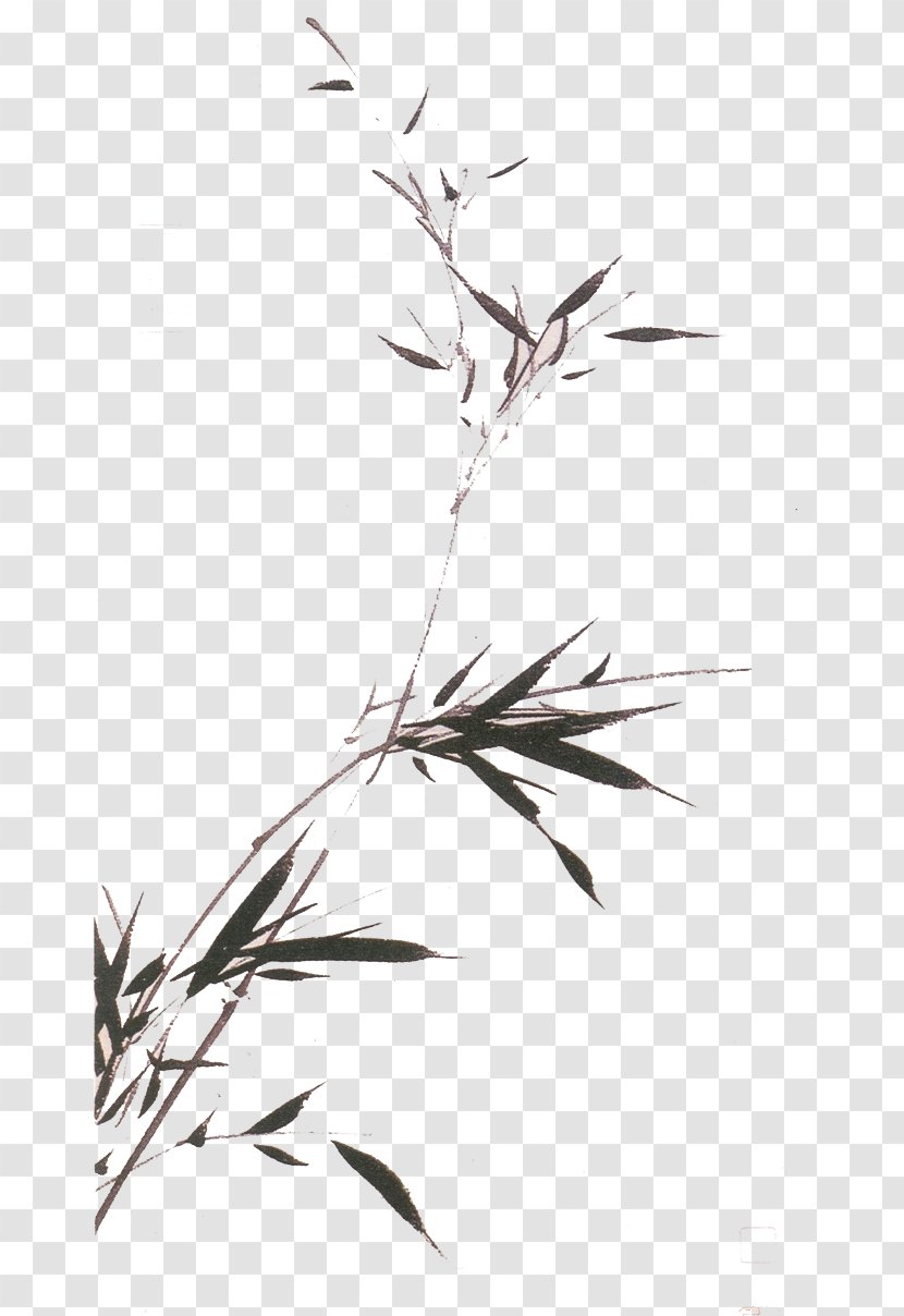 Bird-and-flower Painting Chinese Ink Wash Bamboo - Plant Stem - Bambo Design Element Transparent PNG