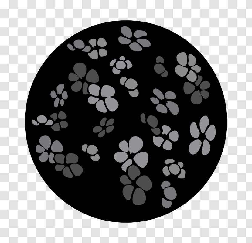 Gobo Design Pattern Lighting Cherry Blossom - Branch - Sphere Transparent PNG