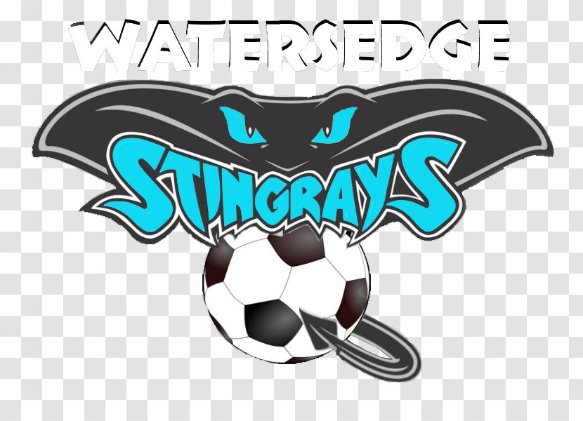 Watersedge Recreation Council Myliobatoidei Manta Ray Football Logo - Soccer Screening Transparent PNG