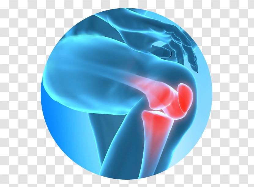 Knee Pain Injury Therapy Management - Joint Transparent PNG