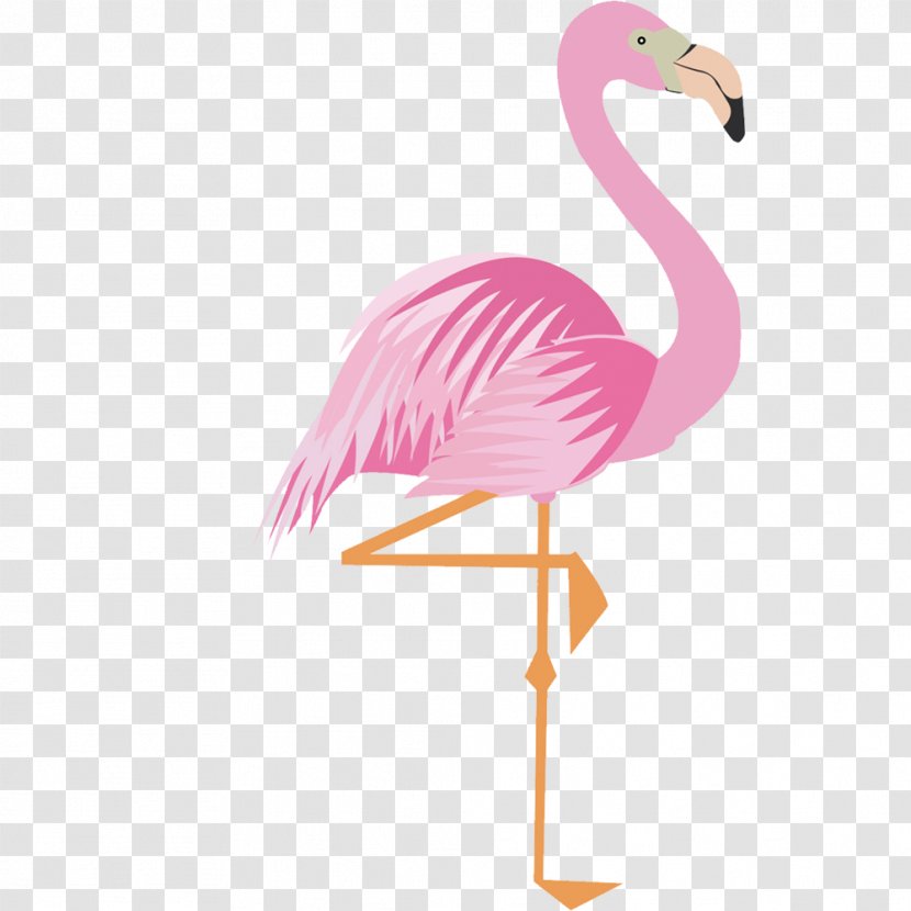 Greater Flamingo Drawing Cartoon - Vertebrate - Pink 17 Material Transparent PNG
