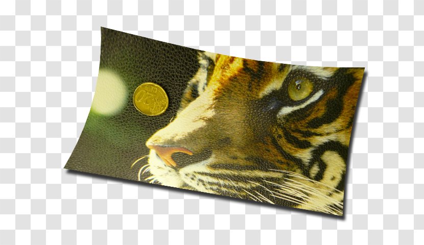 Artificial Leather Digital Printing Ecopelle Fake Fur - Sticker - Italy Stamp Transparent PNG