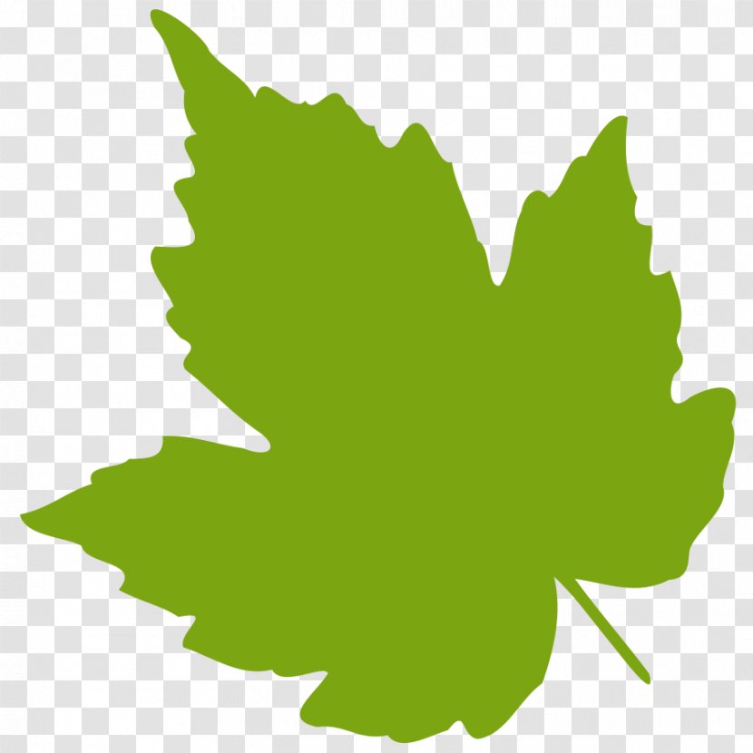 Grape Leaves Clip Art - Green - Oak Leaf Vector Transparent PNG