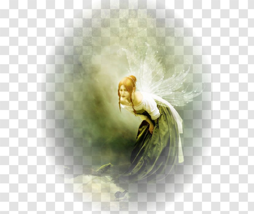 Fairy Karaliste Blog Desktop Wallpaper - Computer Transparent PNG