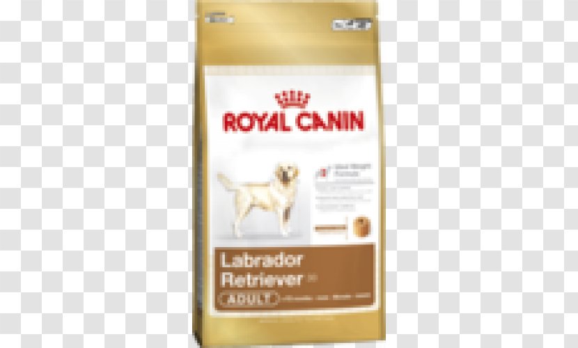 Labrador Retriever German Shepherd Cat Dog Food Royal Canin Transparent PNG