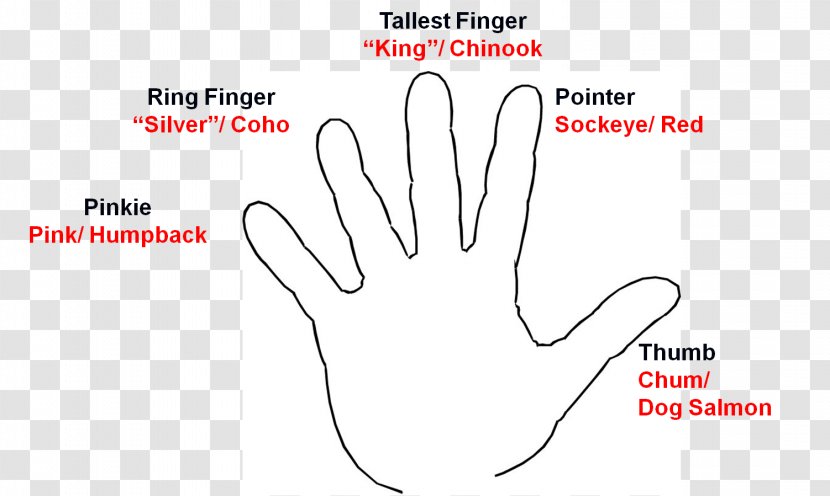 Thumb Finger - Heart - Design Transparent PNG