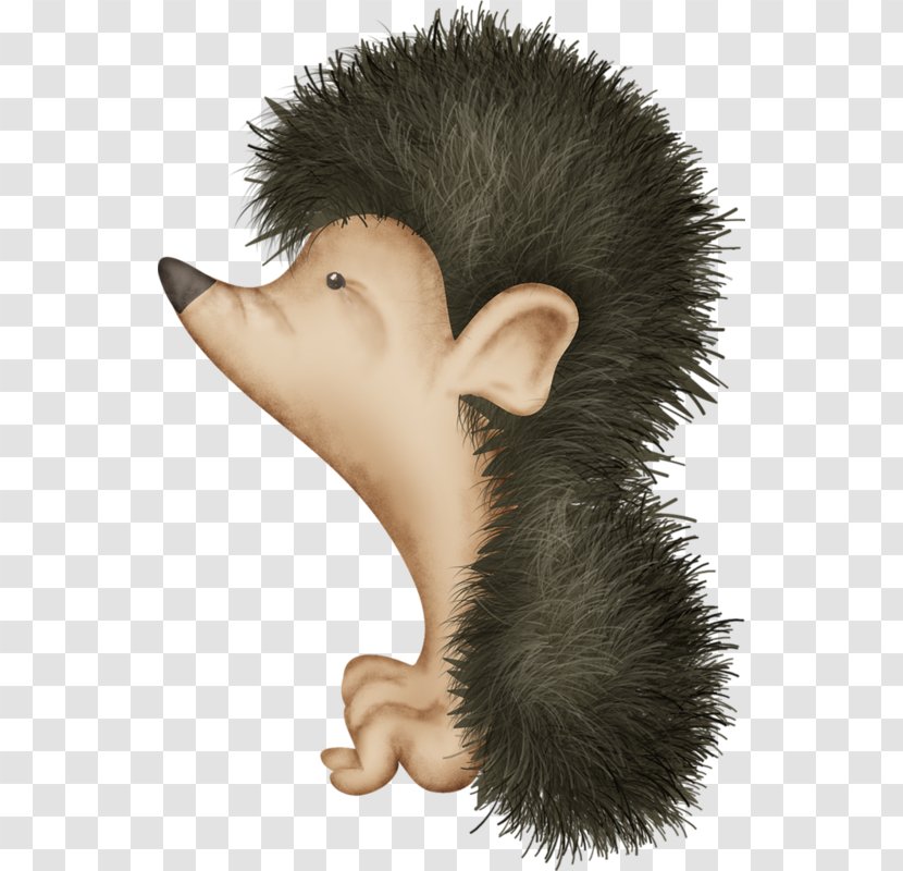 Hedgehog Download Clip Art - Jaw Transparent PNG