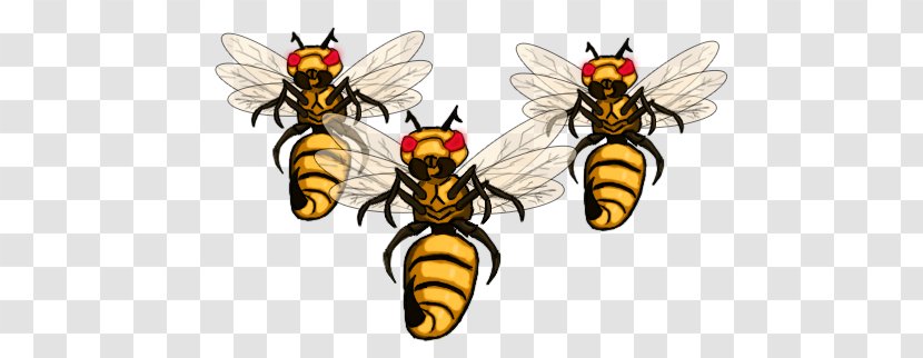 Honey Bee Hornet Wasp Clip Art Transparent PNG