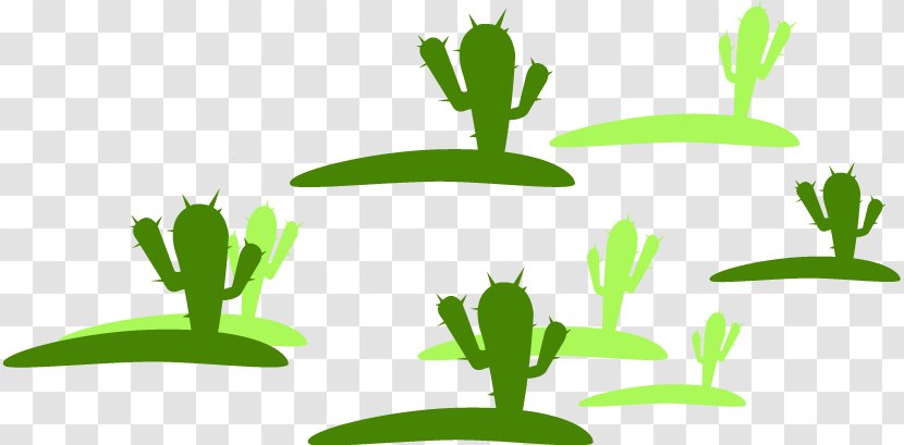 Cactaceae - Leaf - Cactus Transparent PNG