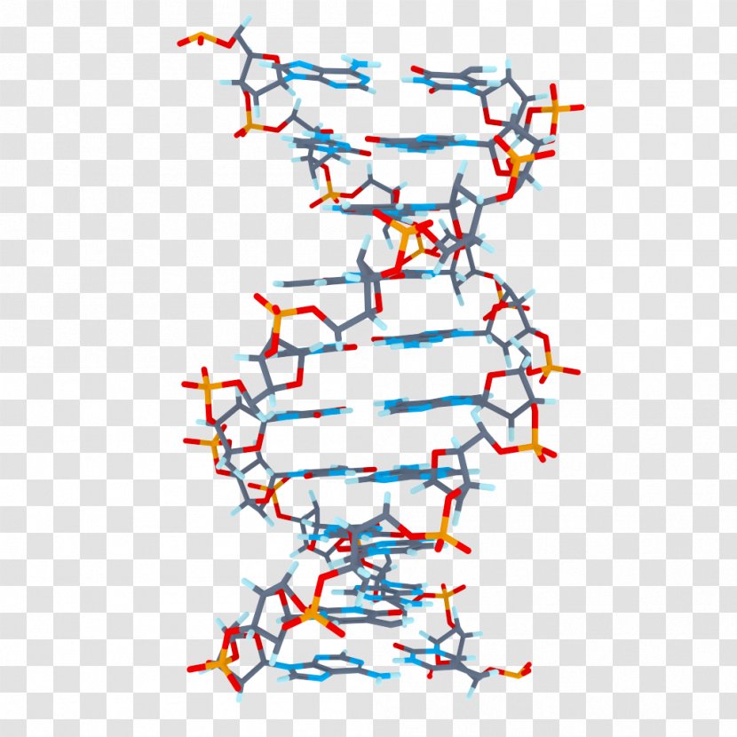 BMP File Format Mod_ssl Clip Art - Area - DNA Transparent PNG