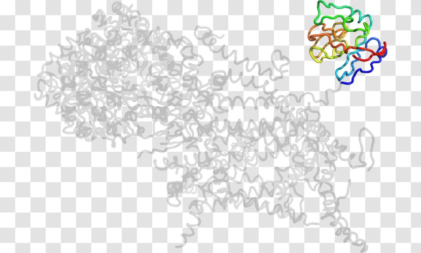 Line Art Drawing /m/02csf - Tree - Cytochrome P450 Reductase Transparent PNG