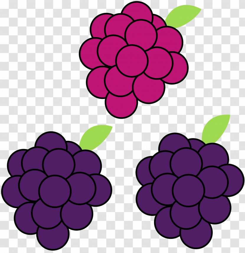 Grape Boysenberry Clip Art - Flower Transparent PNG