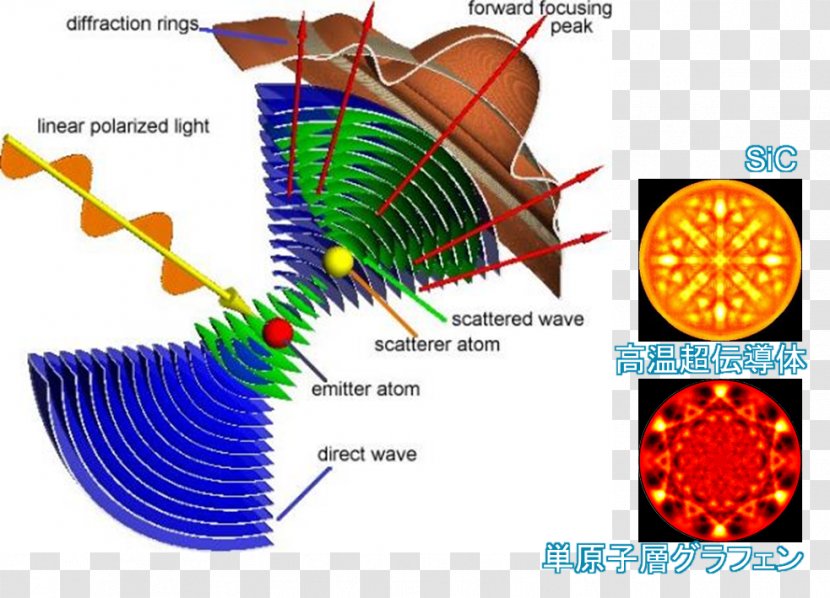 Diffraction 創成科学研究科 Nara Institute Of Science And Technology Electron 光電子 - Atom - Activity Material Transparent PNG