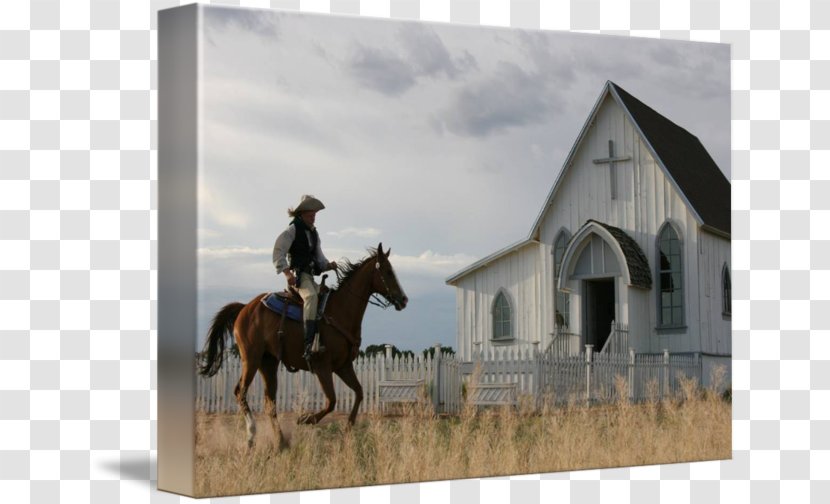Happy Trails Cafe Horse Video On Demand Faith Business - Watercolor Cowboy Transparent PNG