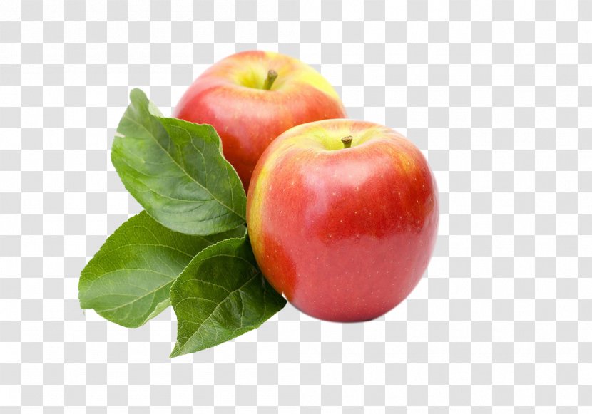 Food Diet Constipation Eating Fruit - Superfood - Apple Transparent PNG