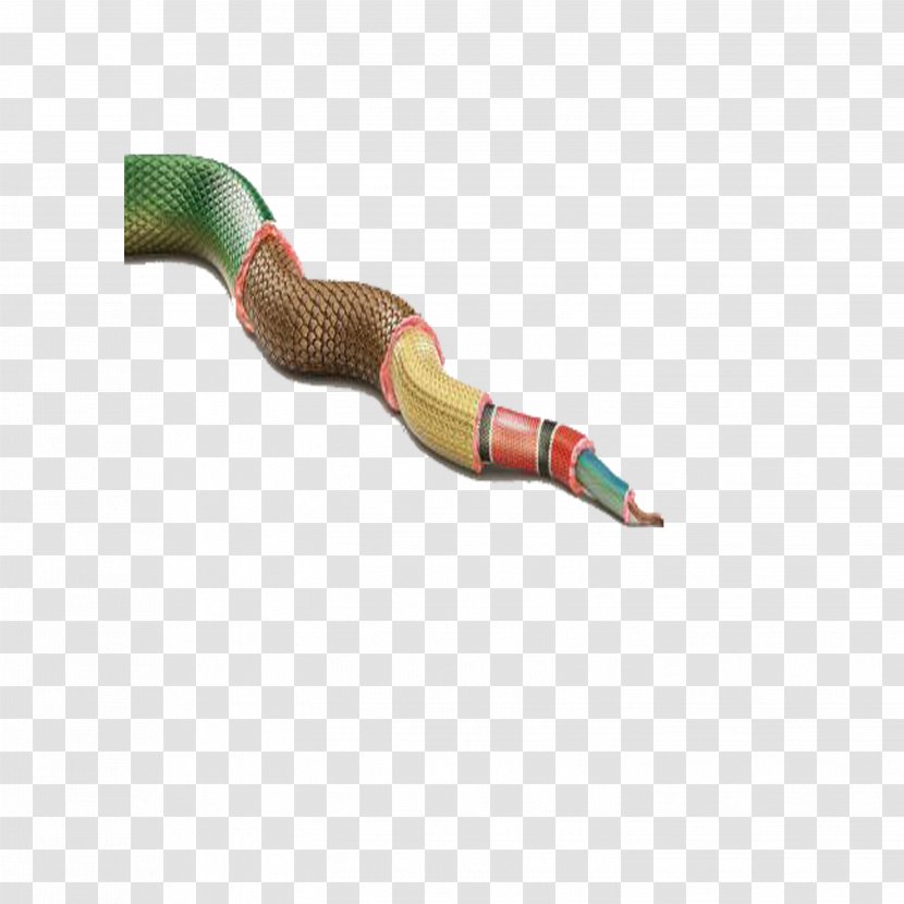 Snake Clip Art - Gucci - Eating Transparent PNG