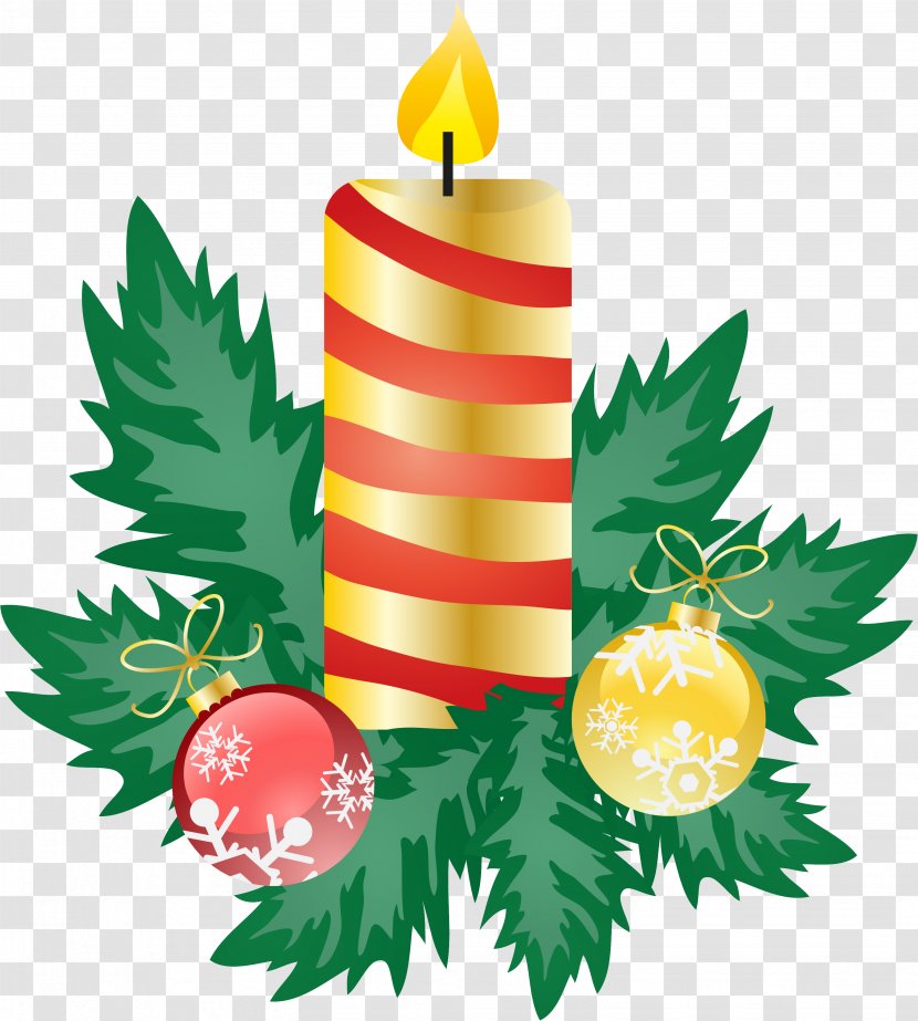 Christmas Tree Green Plant Transparent PNG