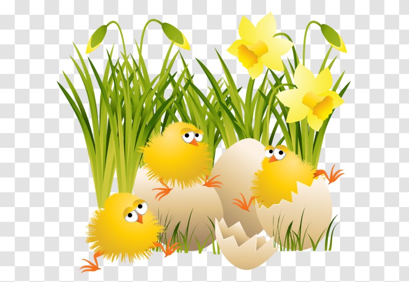 Chicken Easter Bunny Bird Clip Art Transparent PNG