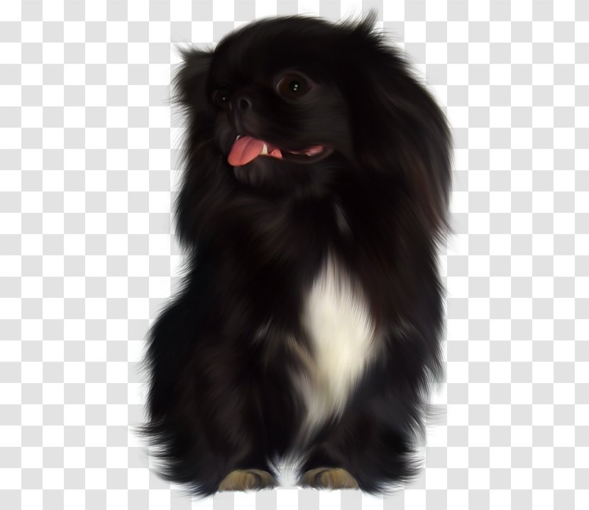 Dog Breed Japanese Chin Chinese Imperial Tibetan Spaniel Puppy - Group Transparent PNG