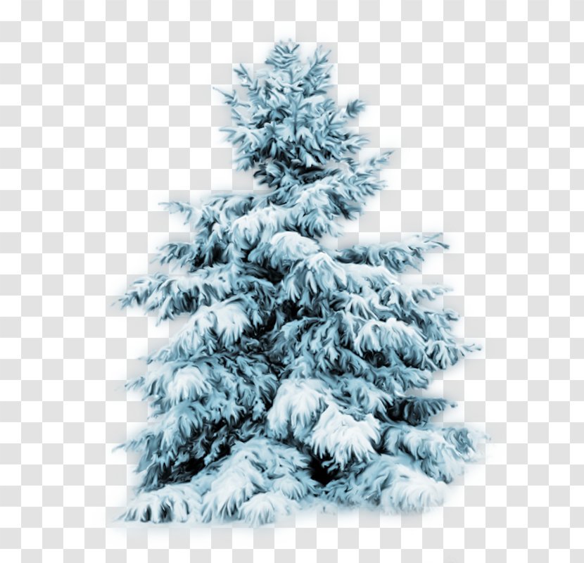 Christmas Tree Desktop Wallpaper Fir Holiday - And Season Transparent PNG