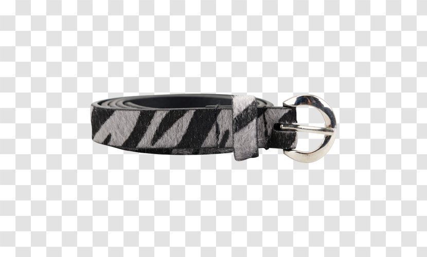 Belt Buckles Dog Collar Leash Transparent PNG