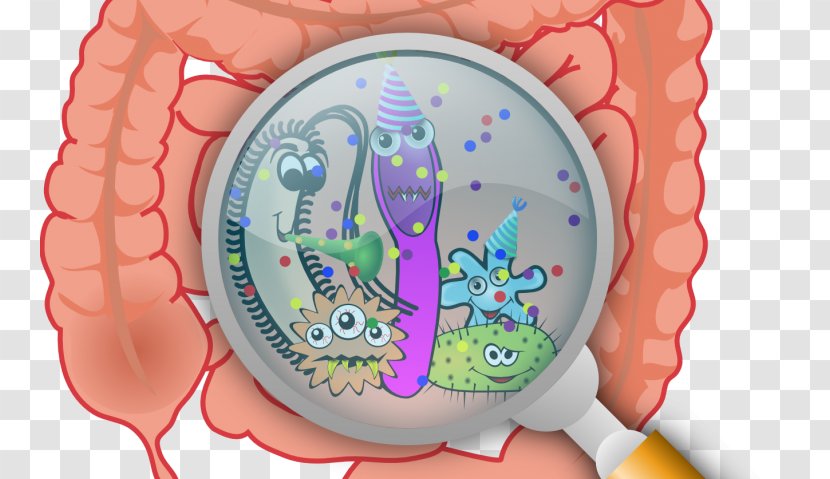 Gut Flora Microbiota Gastrointestinal Tract Bacteria Dysbiosis - Watercolor Transparent PNG