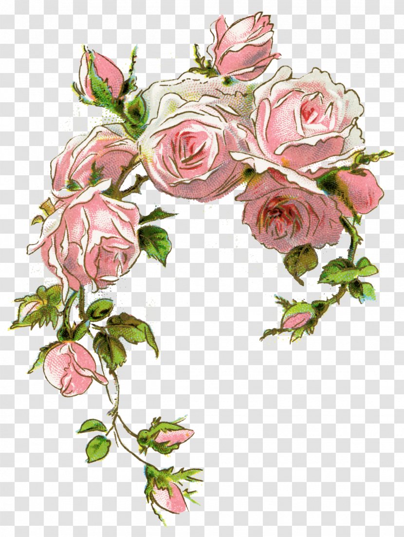 Clip Art Rose Pink Illustration Image - Flower Bouquet Transparent PNG