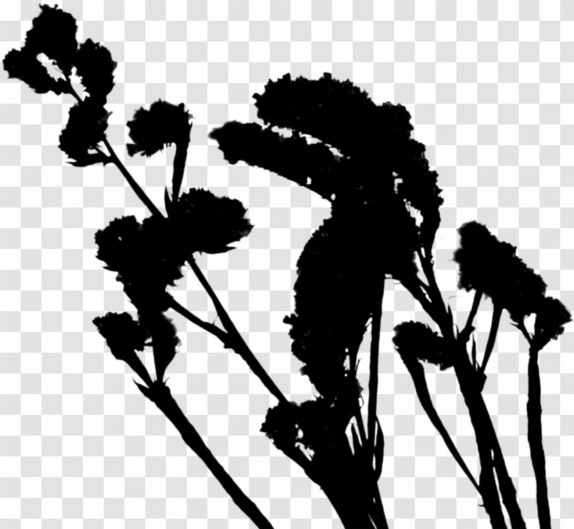 Flowering Plant Silhouette Font Plants - Heracleum Transparent PNG