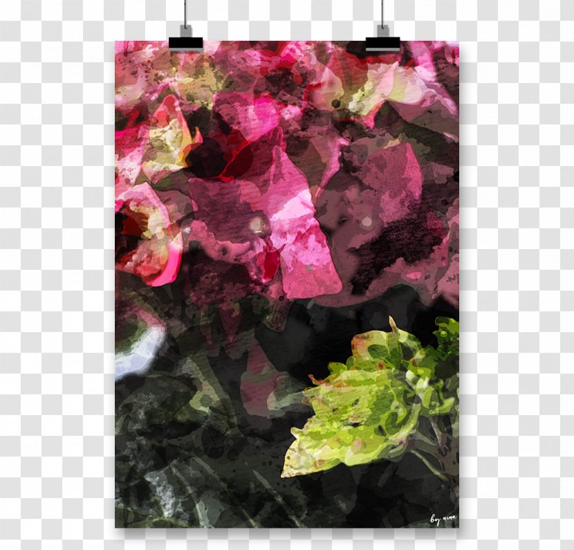 Coated Paper Bynina Poster - Plant - Hortensie Transparent PNG