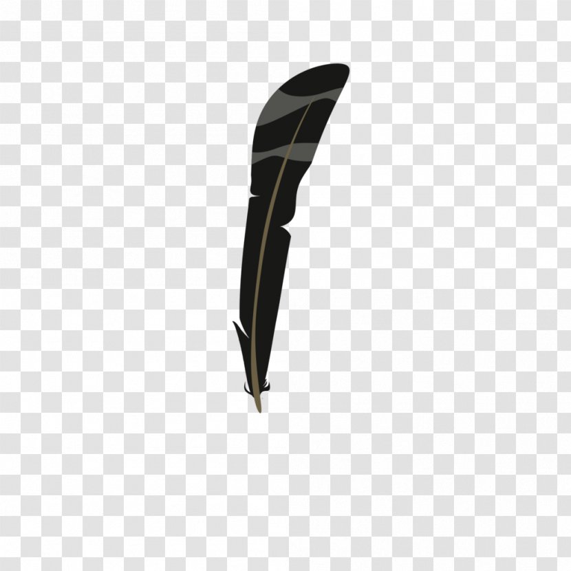 Hawk Feather Drawing - Eagle - Feathers Transparent PNG
