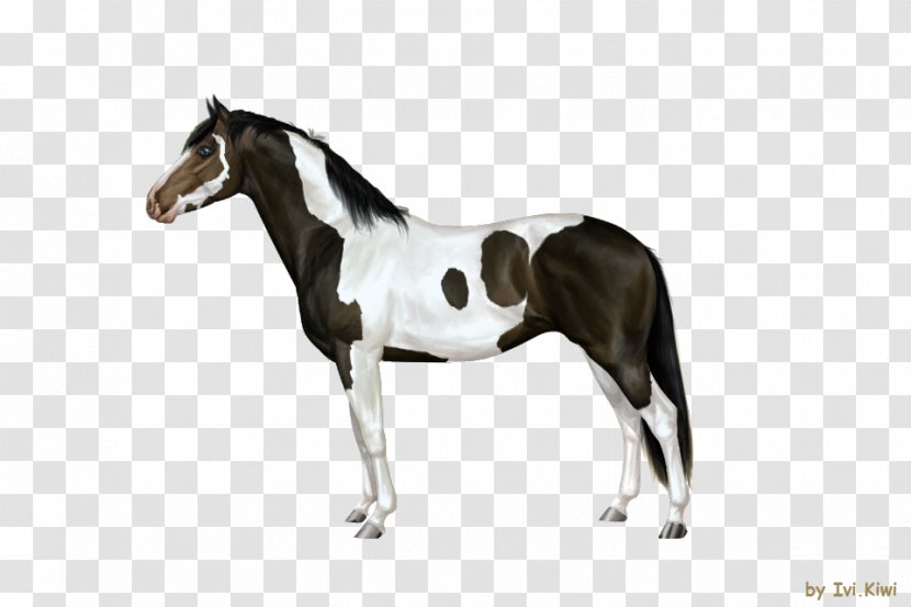 Stallion Mustang Rein Mare Horse Harnesses - Harness Transparent PNG