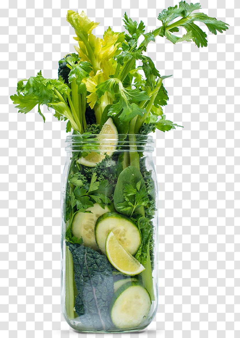 Juice Smoothie Health Shake Celery Evolution Fresh - Vegetables Transparent PNG