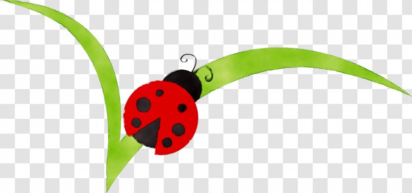 Plant Stem Leaf Fruit Graphics Product Design - Ladybug - Green Transparent PNG