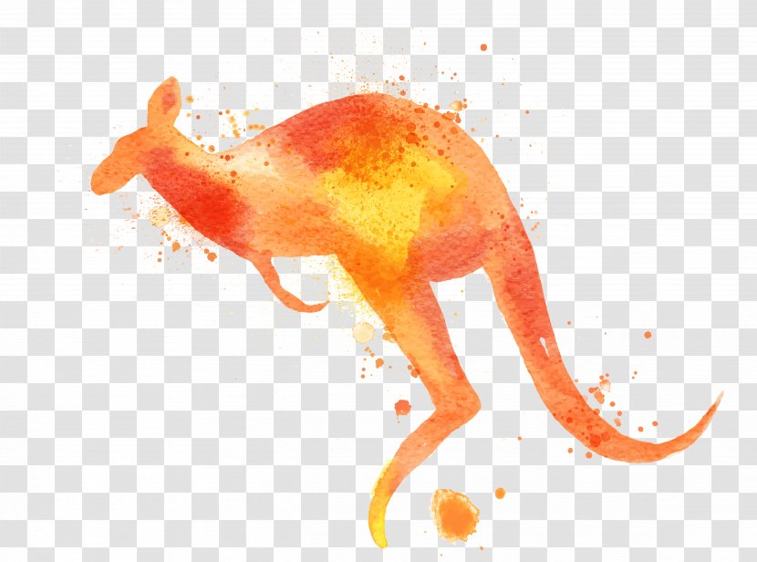 Macropodidae Watercolor Painting Kangaroo - Mammal - Orange Transparent PNG
