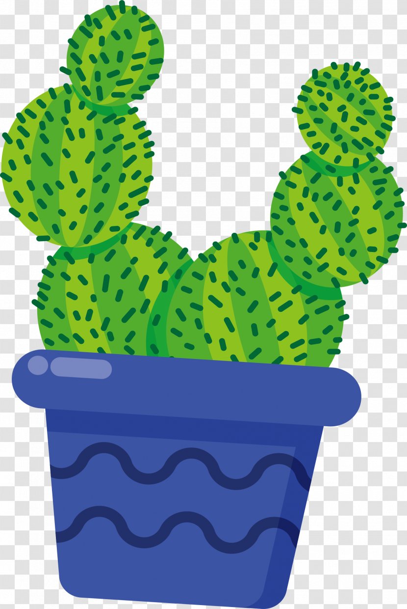Cactaceae Flowerpot Blue - Organism - Cactus Transparent PNG