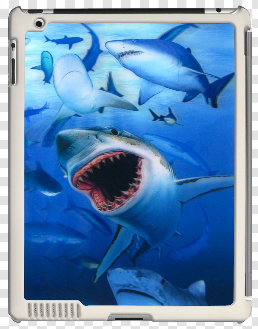 Great White Shark IPad 3 2 Tiger Lenticular Printing - Jaw Transparent PNG