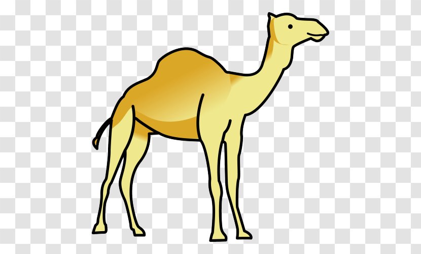 Dromedary Dog Cat Lion Common Ostrich - Terrestrial Animal Transparent PNG