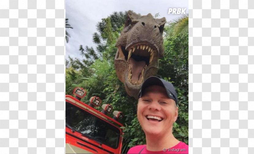 Snout Fauna Vacation Tourism Dinosaur Transparent PNG