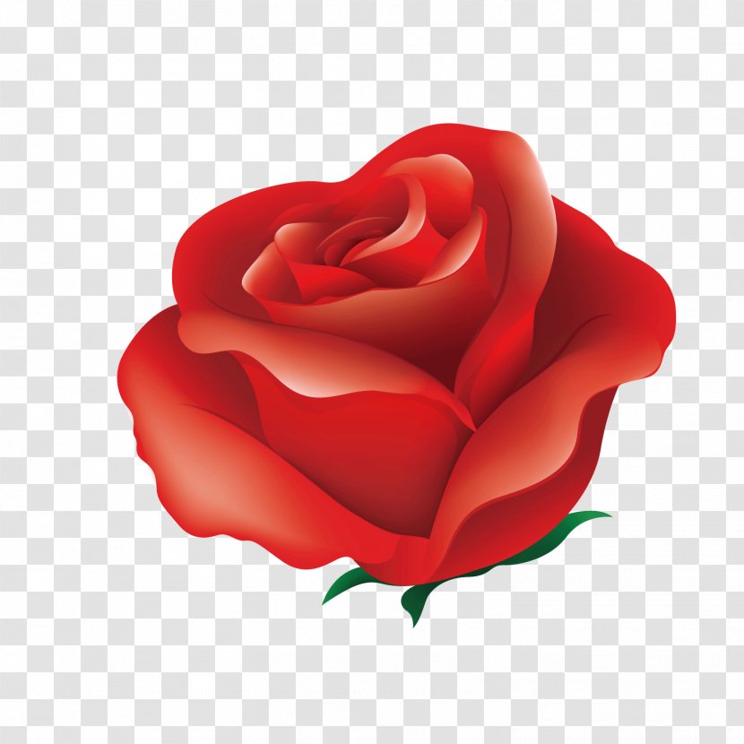 Rose Red Pink Illustration - Flower - Flowers Transparent PNG