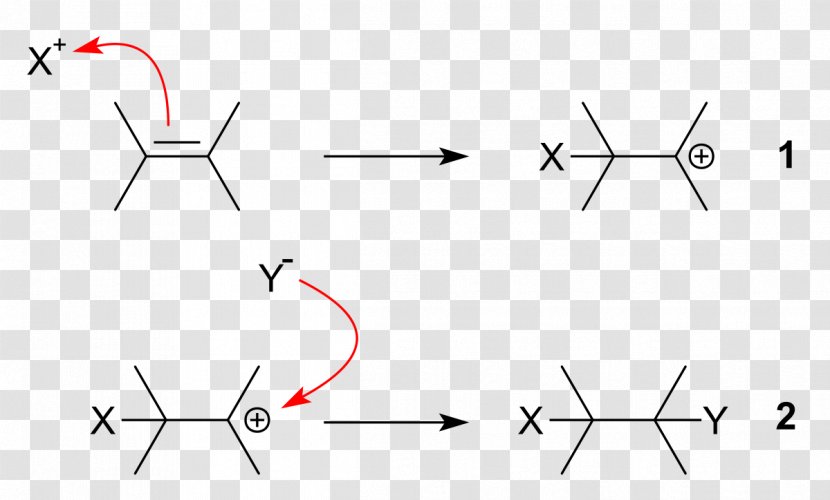 Electrophilic Addition Electrophile Reaction Markovnikov's Rule Double Bond - Triple - Text Transparent PNG